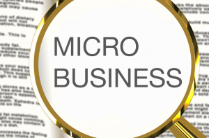 Micro Business in Phuket, Thailand -- Company Registration Phuket